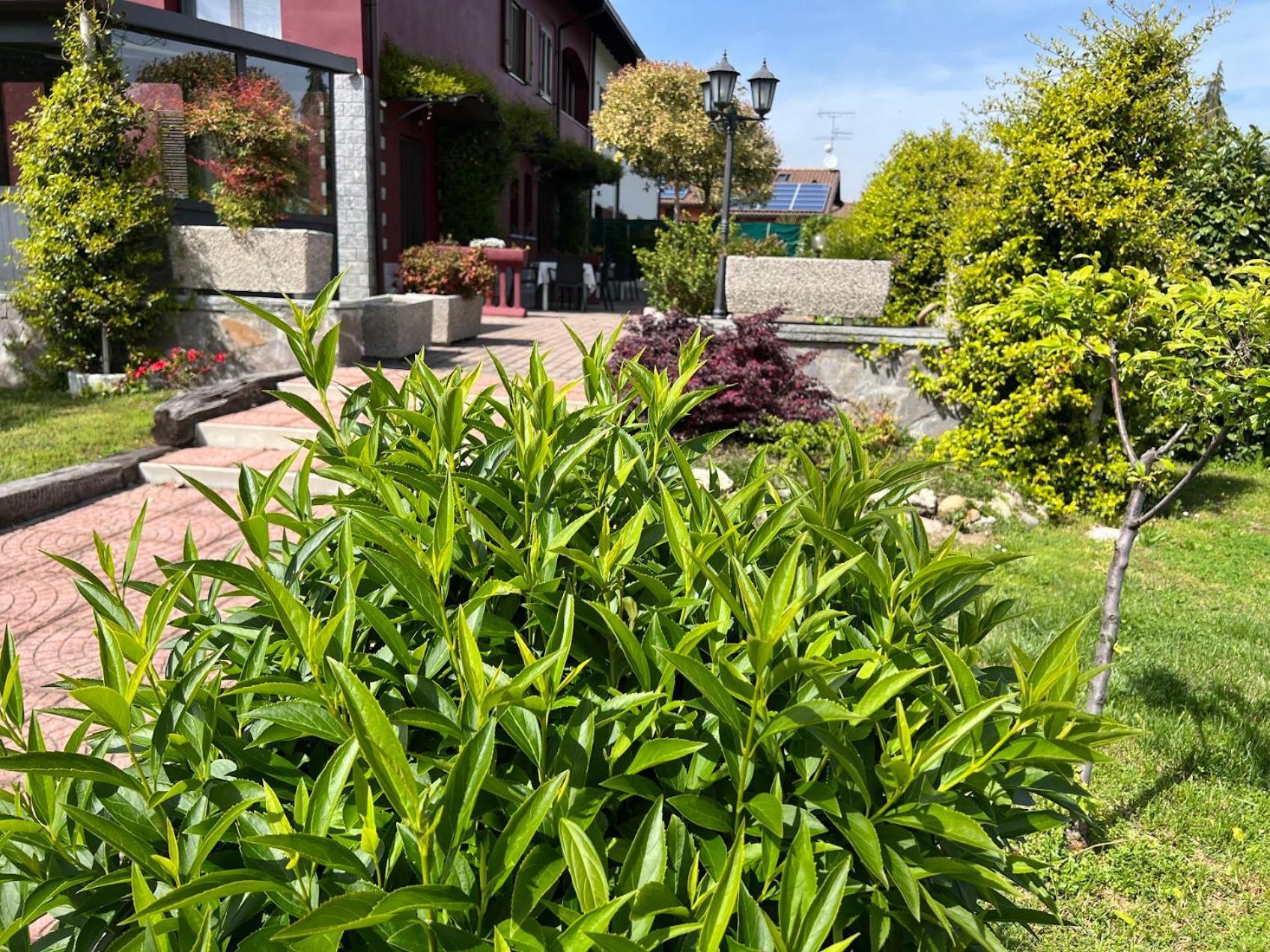 Villarosybeb Paruzzaro Exteriér fotografie